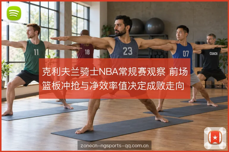 净效率值的两种读法 净效率值的两种读法